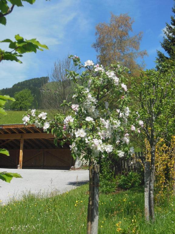 Haus Schoenleiten 瓦格赖恩 外观 照片